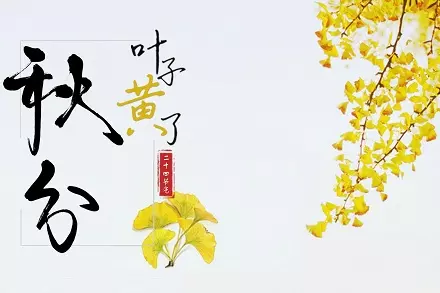 2、年農曆八月黃道吉日查詢:年農曆8月結婚黃道吉日