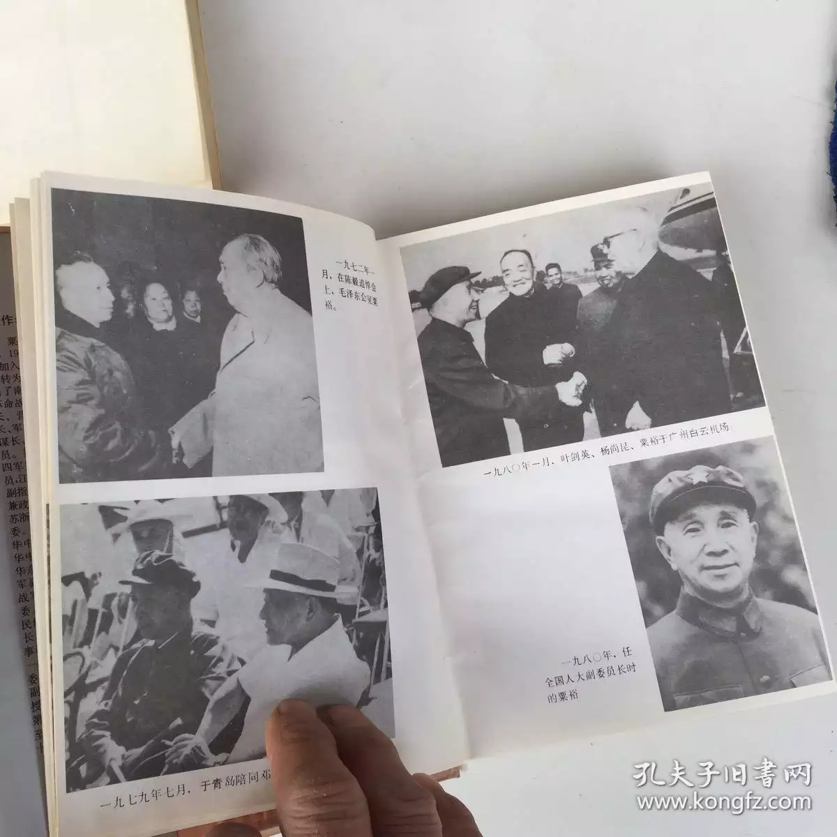 2、88年女和91年男婚配情形:年屬羊女與年屬龍男婚配咋樣?