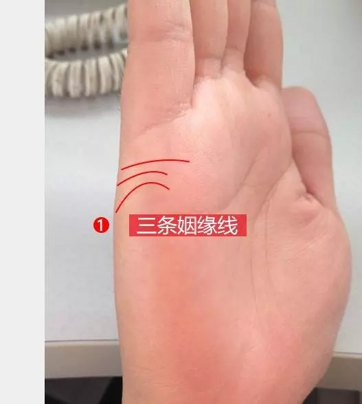 女人八字旺財是什麼意思：旺財這是啥意思