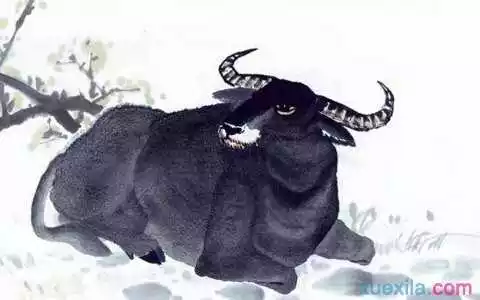 年屬牛男的婚姻順利嗎：年屬牛女和屬牛男婚姻配嗎？求解答？