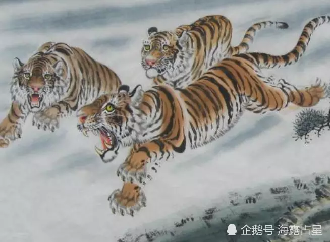4、一家有三個屬虎的好嗎:算命的說家裡有三個屬虎的很好