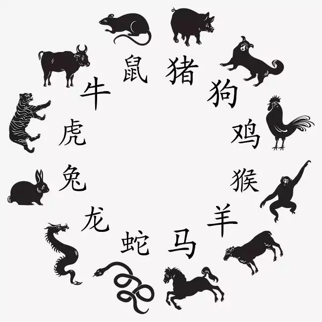 與猴相衝的子女屬相是什麼：屬猴和什麼屬相犯沖