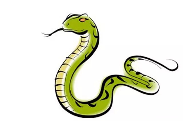 什麼屬相是常見的生肖：十二生肖是哪些？