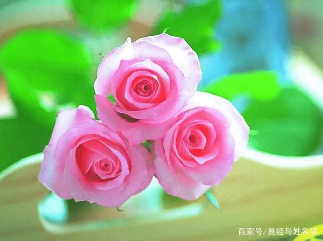 5、怎麼看八字強弱在線查:怎麼判斷八字強弱