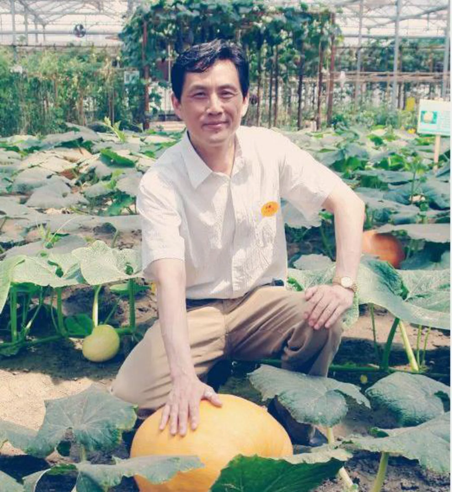 5、58歲的男子外遇:五十八歲男子,多次,現在回家,還能有以前的情緒嗎?
