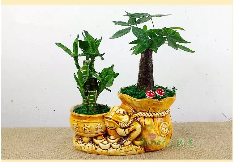2、寓意運氣好發財的圖片:古代寓意發財的詩詞有哪些？