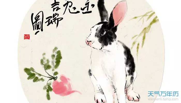 4、屬兔的幾點出生命男孩子:屬兔的什麼時辰出生