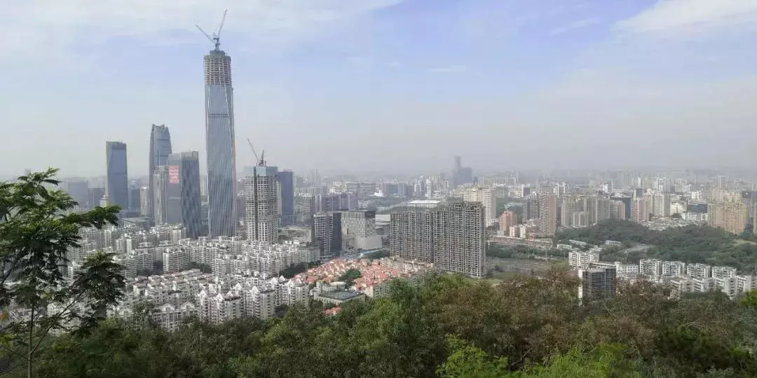 今天12月31日的屬相：年12月31日出生人的五行屬相表