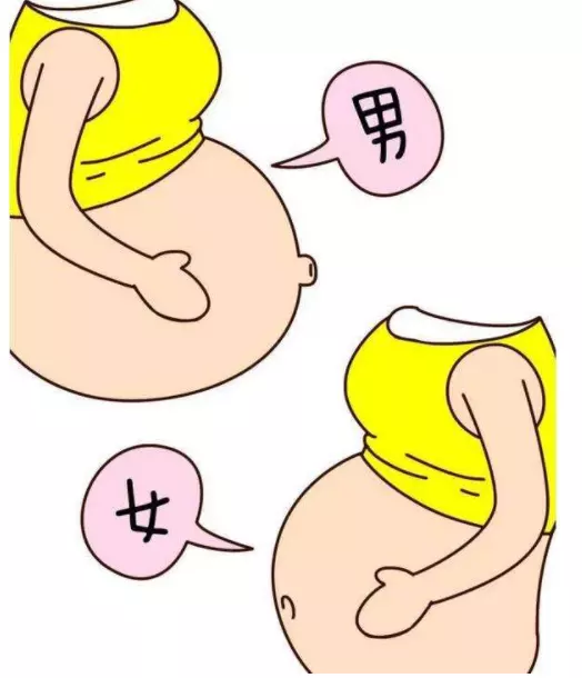 懷男孩比較早測出懷孕么：是不是越早測出懷孕就是生女兒，越晚則是生兒子