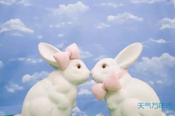 1、七五年兔男的婚姻:年年屬兔人的全年運勢？