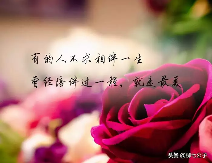 1、婚姻天註定半點不由人:我沒那種命呀！她沒道理愛上我！緣分天註定！半點不由人！