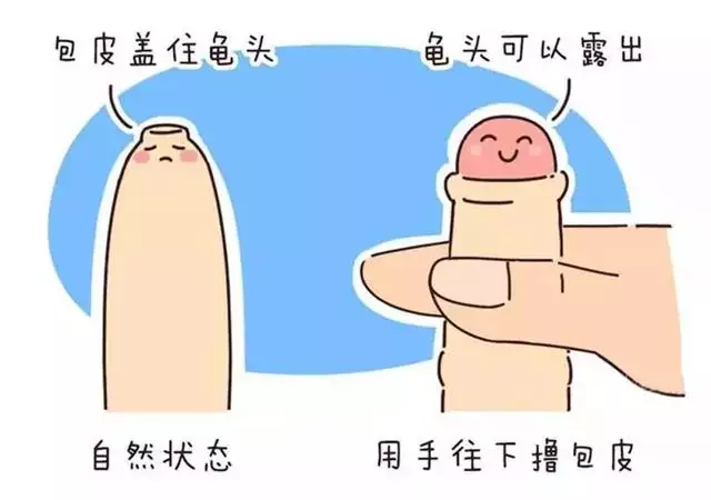 4、正常情況下一次大概幾分鐘:次一般多久