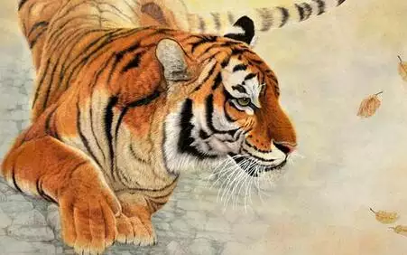 98年出生屬什麼生肖：年是什麼屬相年