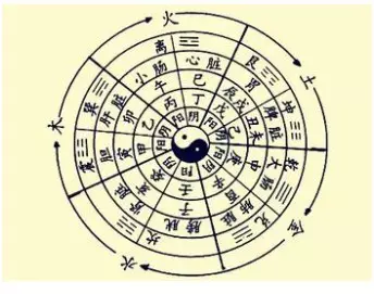 2、桑梓木命與大林木命婚配:桑石木命和大林木命可以互助嗎？