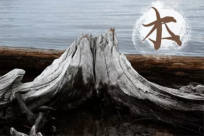 2、木命蛇和土命羊能婚配嗎:老公屬羊土命人,我屬蛇木命人,我們能幸福到老嗎