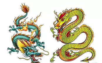 年出生屬什麼生肖屬相：年屬什麼生肖？