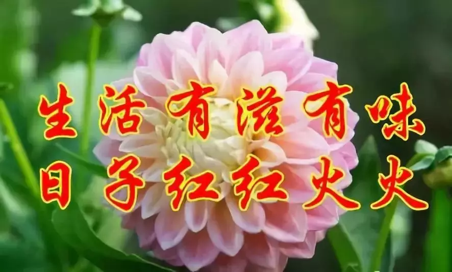 今天運氣好的屬相9月5日：1986年9月5日農曆生今天運氣