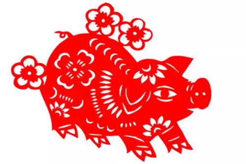 年屬豬的運氣：年的屬豬運氣怎麼樣