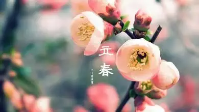 年立春屬相鼠怎麼做：年2月5日（已過立春）屬什麼生肖？