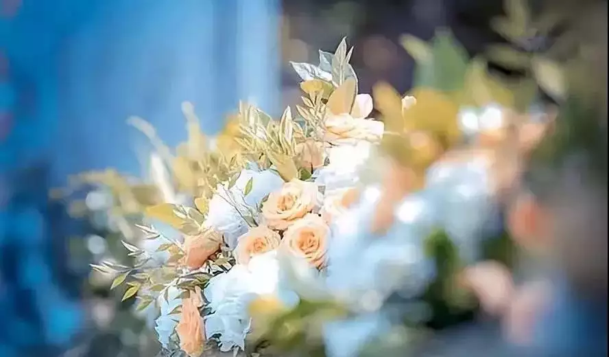 1、上等婚生氣天醫福德哪個好:“上等婚，中等婚，天衣婚姻”是什麼意思啊？