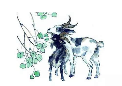 3、屬羊陰曆八月的婚配表:羊的屬相婚配表 屬羊的和什麼屬相最配