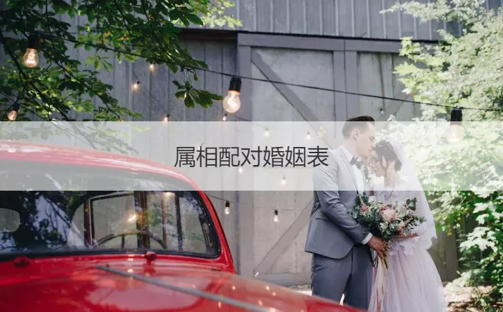 1、才子的女孩子婚配好不好:屬相婚配你怎麼看？