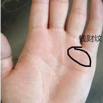 1、女人有福氣的手相:什麼樣的手相最有福氣