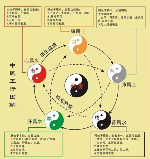 3、年周易免費算命:年什麼命