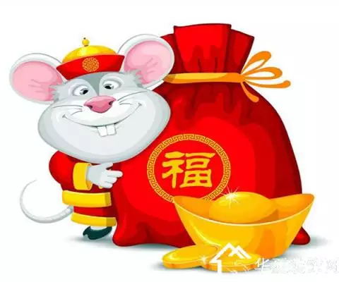 九十月的鼠寶寶好不好：屬相老鼠的孩子好嗎?
