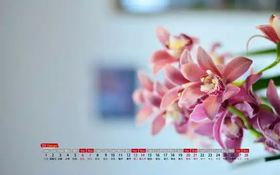 2021年農曆2月22日屬相：十二生肖年份表2021