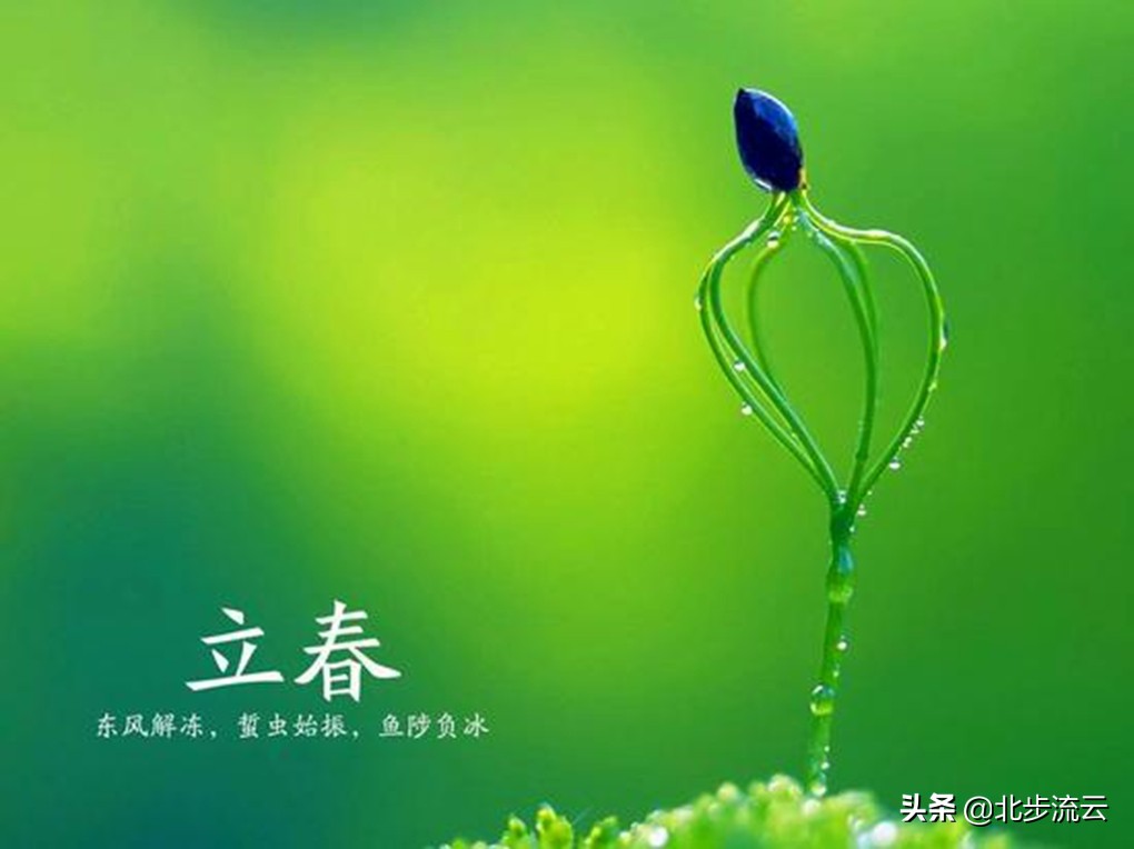 5、宜嫁娶 針對年的無春年，能否指點下領證和結婚的吉日？ 男年4月10日 女年3月20日