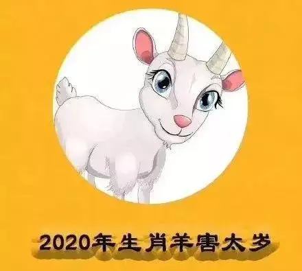 屬相羊在鼠年犯太歲嗎：年鼠年，屬羊的人是不是也犯太歲？要注意些什麼？！