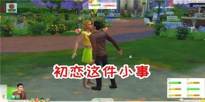 6、模擬人生4禁止mc自動婚配:模擬人生4如何讓機器人做家人但不需要我們控制
