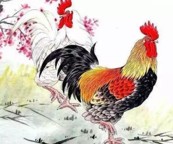 5、93屬雞的註定婚姻:年屬孩的婚姻
