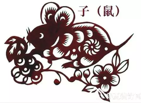 99年鼠和什麼屬相最配：屬鼠的和什麼屬相最配和相剋？