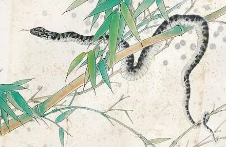五三年的人屬相是什麼：年出生是什麼生肖