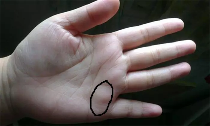 想要順利懷孕，一定要選好時間，一天當中什麼時候更容易懷孕？