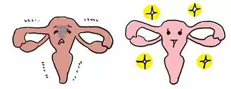 6、為什麼一就有炎症:男子有濕氣和女人會使女人發生炎症嗎