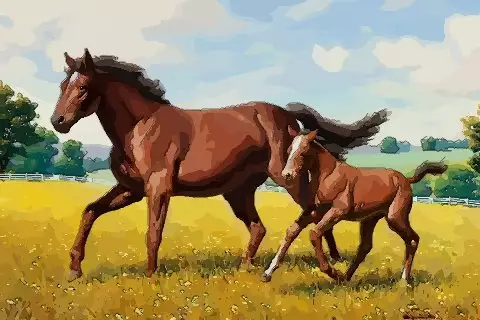 屬馬的適合戴什麼屬相的人：屬馬的戴什麼生肖對照旺