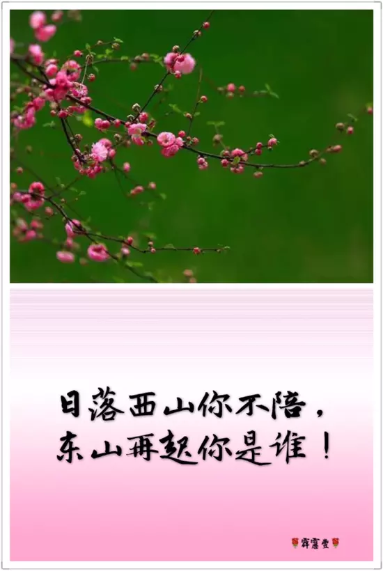 日落西山虎落平陽什麼屬相：什麼屬相開什麼成語