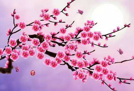 7、桃花測算免費算命:算命算桃花運