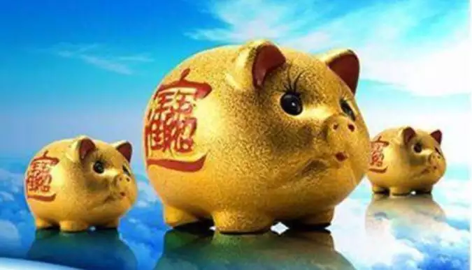年屬豬的人年運程，年豬出生的人蛇年歲業、財運、康健、情緒婚姻運勢怎樣