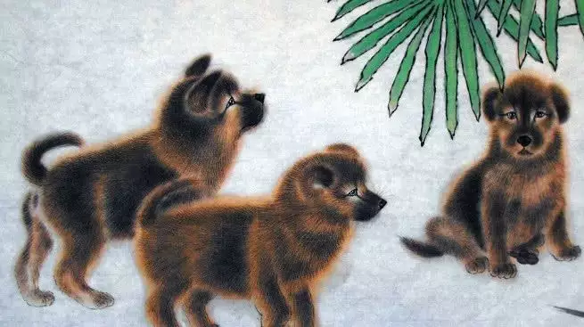 屬狗男和屬豬女屬相合不合適：女屬豬和男屬狗配嗎？能詳細說說嗎？