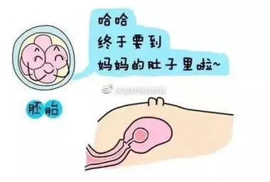 6、老公出軌給他吃:男人說身體不會說謊是真的嗎 愛不愛身體知道答案