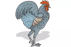 年屬雞的和什麼屬相犯沖：屬蛇的和什麼屬相最般配？