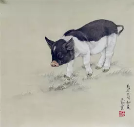 屬豬女和屬兔男屬相合不合：屬兔和屬馬婚配如何？