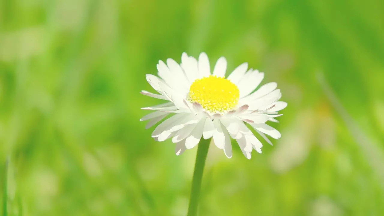 3、算姻緣什麼時候出現:算命看姻緣哪一年出現？