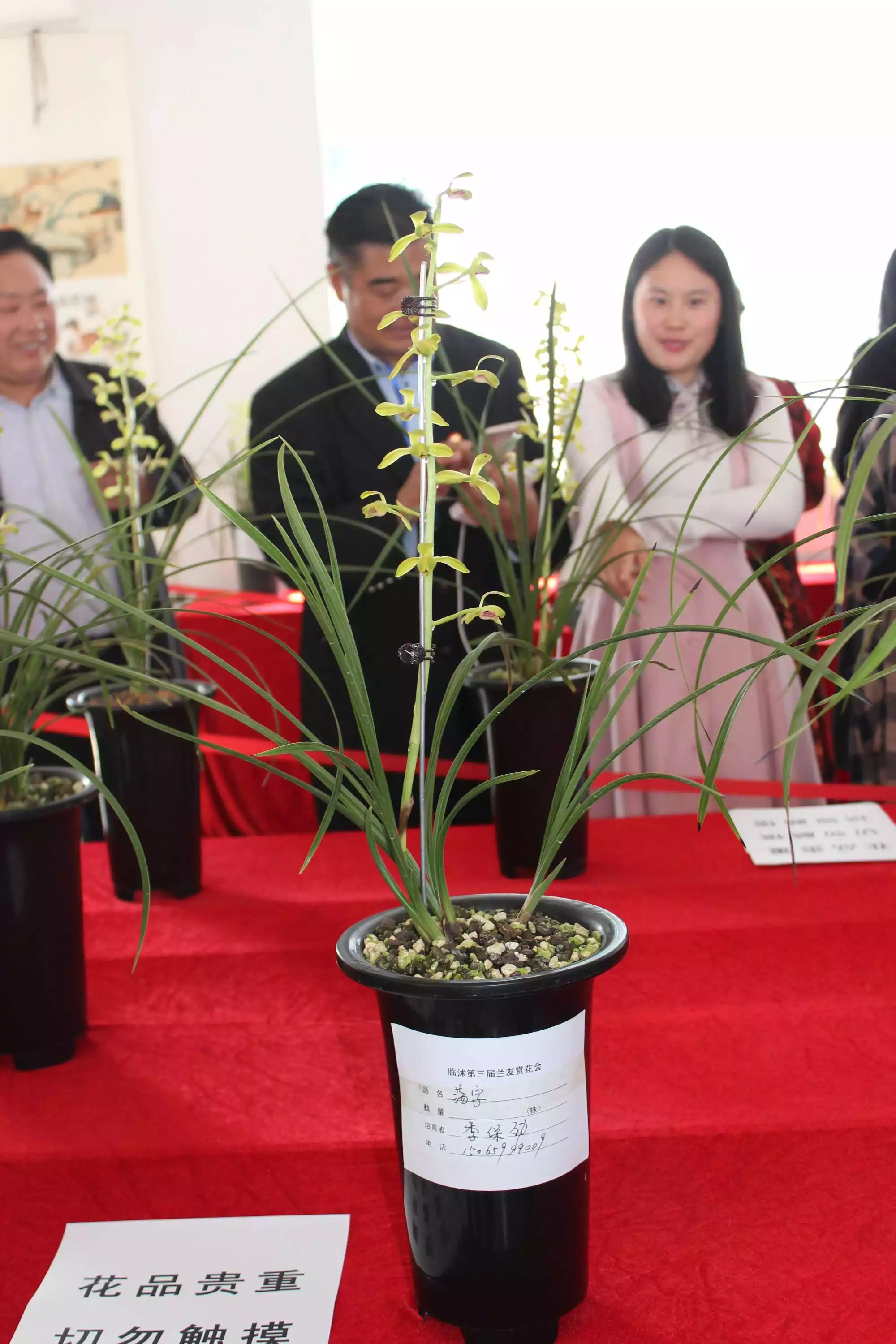 2、養蘭花的男人的性格和事業:開花店的男人性格