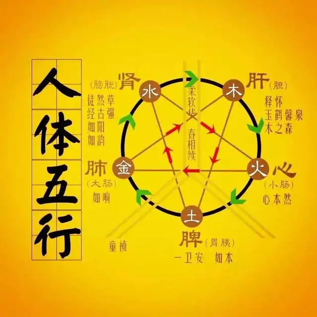 金木和水火哪個屬相好：金木水火土，誰人屬性好？