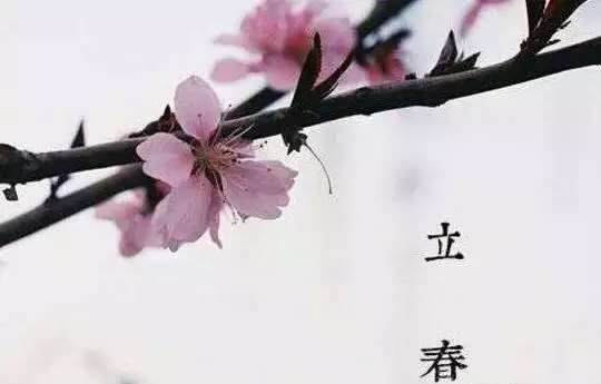 年正月二十一 凌晨2:43分出生的男孩命怎麼樣,應該起什麼名字好?